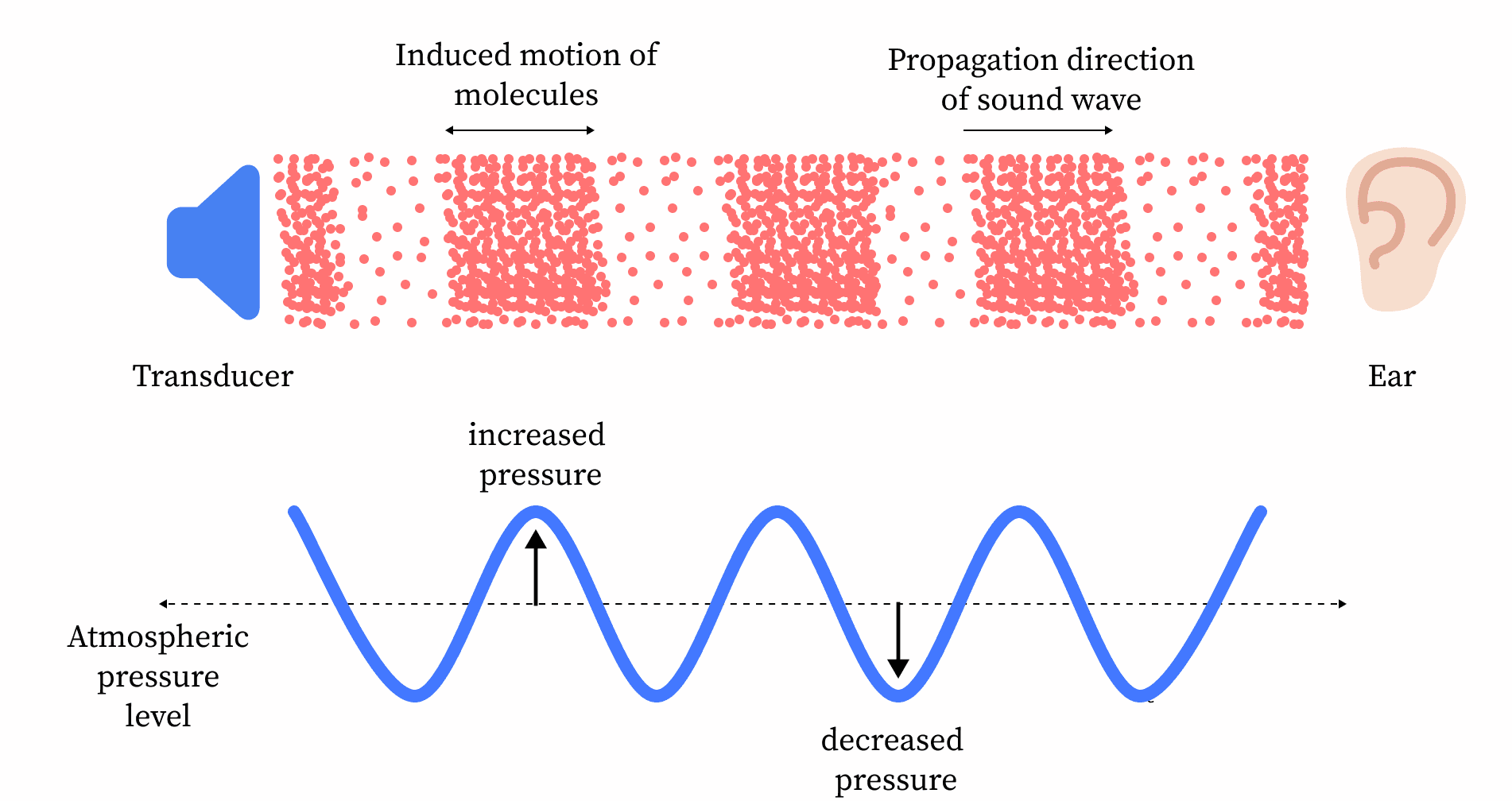 Relationship between molecular motion and waveform